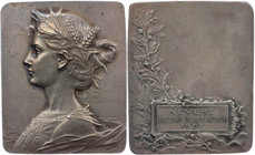 MEDIZIN UND SOZIALWESEN RETTUNGSWESEN
 Versilberte Bronzeplakette 1902 v. Félix Rasumny, Hrsg. Alphonse Desaide (Monogramm) Prämie des Wettbewerbs fü...