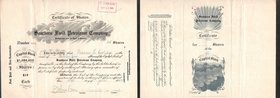 Germany Southern Field Petroleum Company Lot of 2 Certificates of Shares
Share 100 Sollars 1905 and Share 10 Dollars 1919 with convex