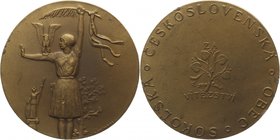 Czechoslovakia Medal Sokol Sports Society Festival 1948
Bronze 33.91g 45mm