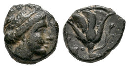 Caria. Rodas. AE 11. 304 a.C. (Gc-5072). Ae. 1,25 g. MBC. Est...25,00.