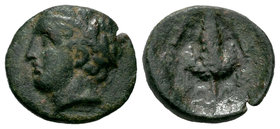 Illyria y Grecia Central. Lokris. AE 14. 338-300 a.C. (Gc-2335). Ae. 1,79 g. MBC. Est...25,00.