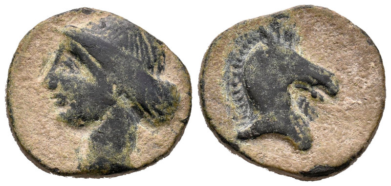 Cartagonova. Calco. 220-215 a.C. Cartagena (Murcia). (Abh-514). (Acip-584). (C-4...