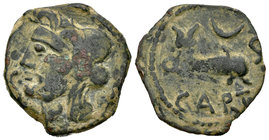 Carteia. Semis. 80-20 a.C. San Roque (Cádiz). (Abh-650). (Acip-2547). Anv.: Cabeza de Júpiter a izquierda, delante S. Rev.: Delfín a derecha, encima c...