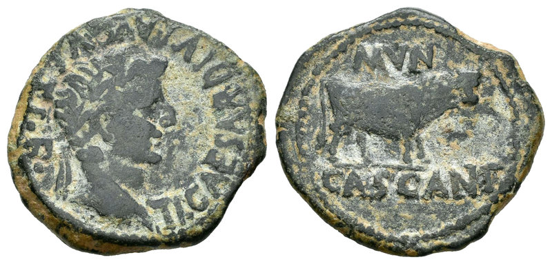 Cascantum. Semis. 14-36 d.C. Cascante (Navarra). (Abh-692). (Acip-3158). Anv.: C...
