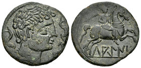 Lakine. As. 120-20 a.C. Zona de Aragón. (Abh-1655). (Acip-1505). Anv.: Cabeza masculina a derecha, rodeada de tres delfines. Rev.: Jinete con palma a ...
