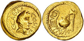 (46 a.C.). Julio César. Áureo. (Spink 1395) (Co. 2) (Craw. 466/1) (Calicó 37b). 8,08 g. MBC+.