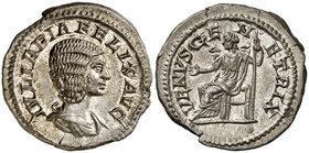 (216 d.C.). Julia Domna. Denario. (Spink 7106) (S. 212) (RIC. 388c, de Caracalla). 3,48 g. Muy bella. EBC+.