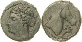 Zeugitana Karthago
 Bronze 3. Jhd. v. Chr. wahrscheinlich Sardinien Kopf der Göttin Tanit nach links / Pferdekopf nach rechts, davor Kugel SNG Cop. 1...