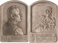 Slg. Joos - Medaillen, Plaketten, Abzeichen der Luftfahrt 1783-1945
 Bronzeplakette 1915 (G. Herrmann) Auf Boroevic und die Schlachten bei Isonzo. Br...