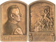 Slg. Joos - Medaillen, Plaketten, Abzeichen der Luftfahrt 1783-1945
 Bronzeplakette 1915 (G. Herrmann) Auf Boroevic und die Schlachten bei Isonzo. Br...