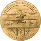 Slg. Joos - Medaillen, Plaketten, Abzeichen der Luftfahrt 1783-1945
 Einseitige Goldbronzeplakette 1927 (REDO) Grossflugtag Saarbrücken. Flugzeug, da...