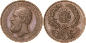 Berlin
 Bronzemedaille 1880 (Drentwett) Internationale Fischereiausstellung in Berlin. Kopf des Kronprinzen nach links / Wappenschild der Schweiz im ...
