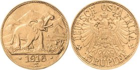 Deutsch Ostafrika
 15 Rupien 1916, T Geprägt aus dem Gold der Sekenke Goldmine Jaeger 728 b GOLD. Randprüfstelle, vorzüglich