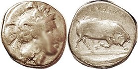 THURIUM, Stater 400-350 BC, Athena head r, Skylla on helmet/Bull butting r, letter Z below, tunny fish in exergue, as S442 (£250); F, well centered, g...