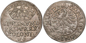 Zygmunt I Stary, Grosz Kraków 1546 - wczesny R3