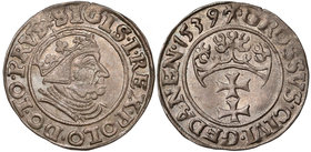 Zygmunt I Stary, Grosz Gdańsk 1539 - PRVS - piękny