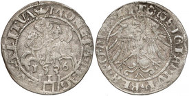 Zygmunt I Stary, Grosz Wilno 1536 - litera F - luty - 3 listki