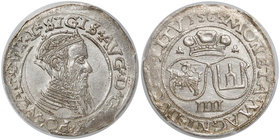 Zygmunt II August, Czworak Wilno 1565 - L / LITV