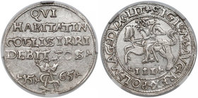 Zygmunt II August, Trojak Tykocin 1565 - 'Szyderczy' - b.ładny (R5) R5