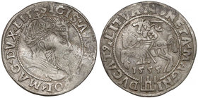 Zygmunt II August, Grosz na stopę litewską 1555 - rzadki RR