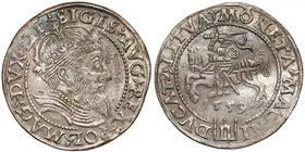 Zygmunt II August, Grosz na stopę litewską 1559 - LITVA
