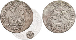 Zygmunt II August, Grosz na stopę polską 1566, Tykocin - JASTRZĘBIEC (R5) RRR