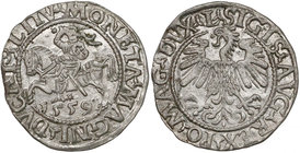 Zygmunt II August, Półgrosz Wilno 1559 - A bez belek - rzadki RR