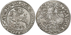 Zygmunt II August, Półgrosz Wilno 1563 - mała Pogoń - LIT - b.rzadki RRR
