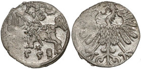 Zygmunt II August, Denar Wilno 1558/8 - podwójna 8 RR