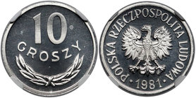 10 groszy 1981 - lustrzany