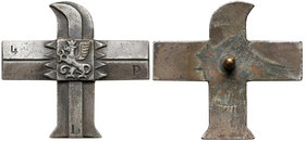 Odznaka, 4 Pułk Lotniczy