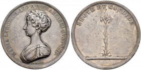 KAISER FRANZ II. (I.), 1792-1835 
 Medaillen Kaiser Franz‘ II. (I.) 
 Silbermedaille o. J. (1808). Auf die ungarische Krönung der Kaiserin Maria Lud...