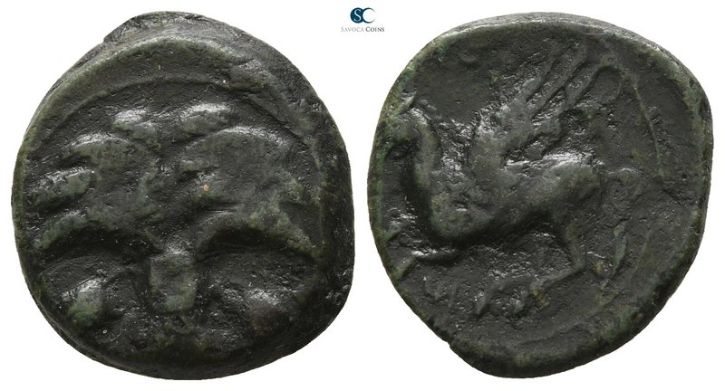 Sicily. Carthaginian Domain 330-320 BC. 
Bronze Æ

14 mm., 3.21 g.



nea...