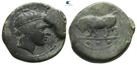 Sicily. Gela circa 420-405 BC. Tetras or Trionkion Æ