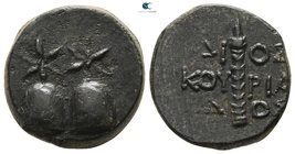 Colchis. Dioskourias circa 105-90 BC. Bronze Æ