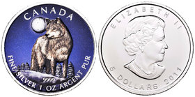 Canada. Elizabeth II. 5 dollars. 2011. (Km-1152 variante). Ag. 31,11 g. Coloured Edition. Wolf. UNC. Est...40,00.
