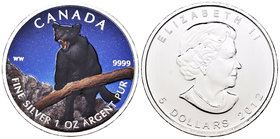 Canada. Elizabeth II. 5 dollars. 2012. (Km-1164). Ag. 31,11 g. Coloured Edition. Black panter. UNC. Est...40,00.