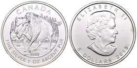 Canada. Elizabeth II. 5 dollars. 2013. (Km-1434). Ag. 31,11 g. Bison. UNC. Est...25,00.