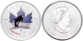 Canada. Elizabeth II. 5 dollar. 2014. Maple Leaf. Ag. 31,11 g. Coloured Edition. Killer Whale. UNC. Est...40,00.