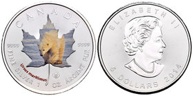 Canada. Elizabeth II. 5 dollars. 2014. Maple Leaf. Ag. 31,11 g. Coloured Edition, Polar bear. UNC. Est...40,00.