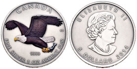 Canada. Elizabeth II. 5 dollars. 2014. Ag. 31,11 g. Coloured Edition. Antique finish. Eagle. UNC. Est...45,00.