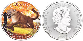 Canada. Elizabeth II. 5 dollars. 2016. Ag. 31,11 g. Coloured Edition. Cougar. UNC. Est...40,00.