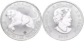 Canada. Elizabeth II. 5 dollars. 2016. Ag. 31,11 g. Cougar. UNC. Est...25,00.