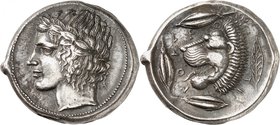 GRÈCE ANTIQUE
Sicile, Leontini (430-425 av. J.C.). Tétradrachme d’argent.
Av. Tête laurée d’Apollon à gauche, entourée d’un cercle de grènetis. Rv. ...