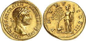 EMPIRE ROMAIN
Hadrien (117-138). Aureus 119-122, Rome.
Av. Tête laurée à droite. Rv. Minerve debout à gauche, à gauche un olivier et un lapin.
Cal....