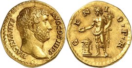EMPIRE ROMAIN
Hadrien (117-138). Aureus 134-138, Rome.
Av. Tête nue à droite. Rv. Génie debout à gauche.
Cal. 1269. 7,30 g.
Provenance : Vente NAC...
