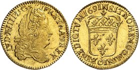 FRANCE
Louis XIV (1643-1715). 1/2 louis d’or à l’écu 1691 N, Montpellier, réformation.
Av. Tête laurée à droite. Rv. Écu de France couronné.
Dup. 1...
