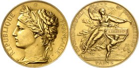 FRANCE
IIIème République (1870-1940). Médaille en or frappée pour l’exposition universelle de 1878, attribuée à Adolphe Leleu, par Chaplain.
Av. Bus...