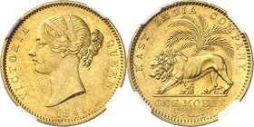 INDES
Victoria (1837-1901). Mohur 1841, 2ème type.
Av. Tête nue à gauche. Rv. Lion devant un palmier.
Fr. 1595a.
NGC AU 58. Presque superbe