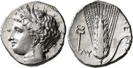 LUCANIA. Metapontion. Circa 340-330 BC. Didrachm or Nomos (Silver, 22 mm, 7.90 g, 11 h). Head of Demeter to left, wearing wreath of grain ears, pendan...